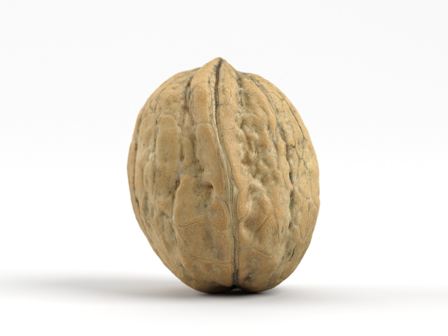 Photorealistic Walnut 01 in Food - product preview 2