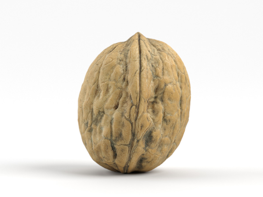 Photorealistic Walnut 01 in Food - product preview 4