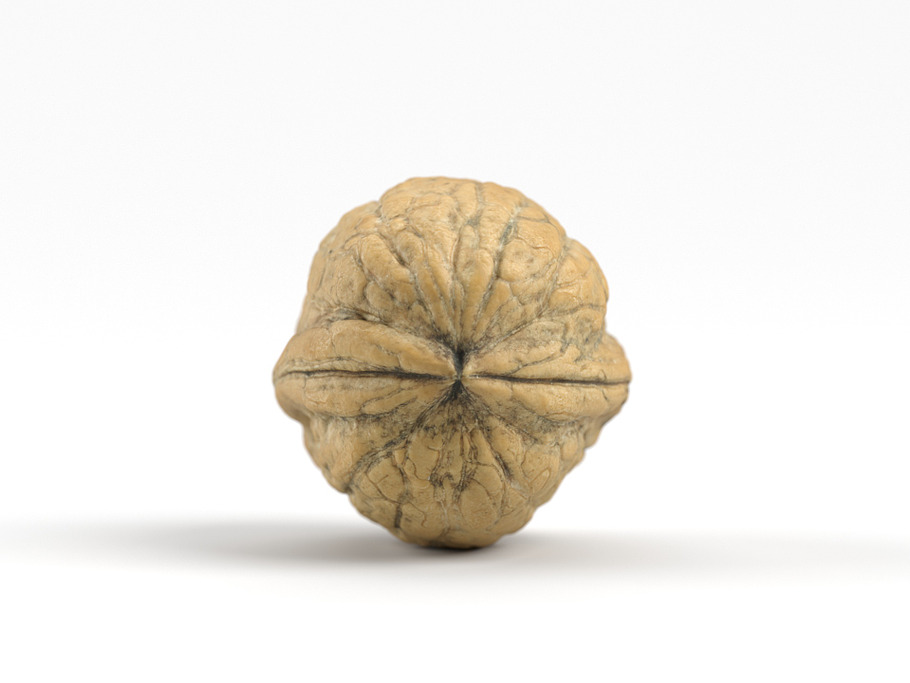 Photorealistic Walnut 01 in Food - product preview 5