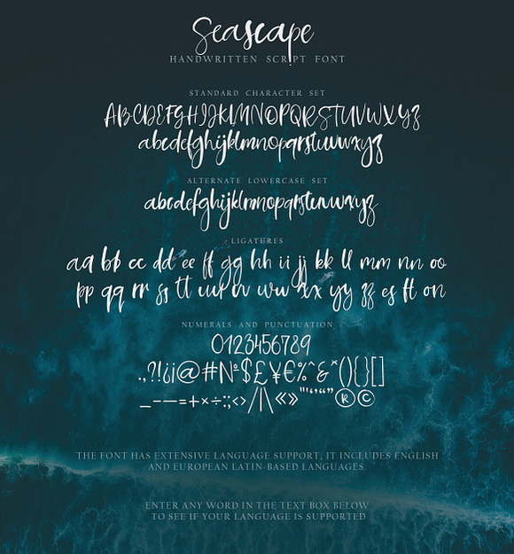 Seascape. Script Font in Script Fonts - product preview 6