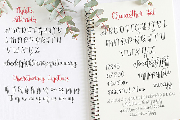 Dynamic Love Script in Script Fonts - product preview 3
