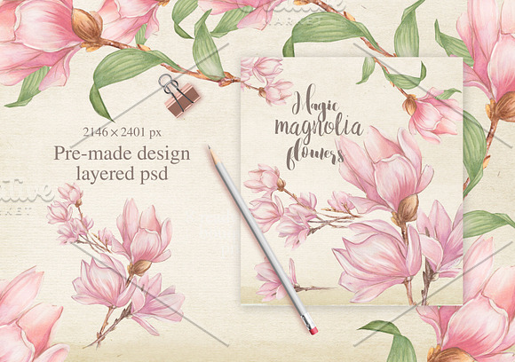 Magnolia flowers  in Illustrations - product preview 1
