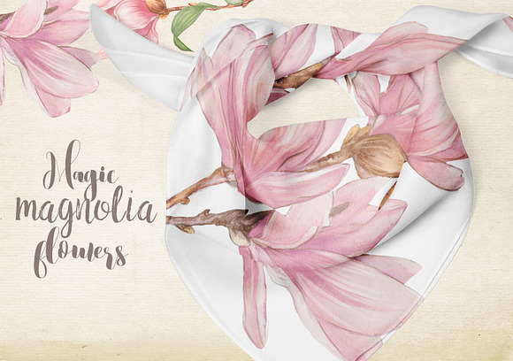 Magnolia flowers  in Illustrations - product preview 3
