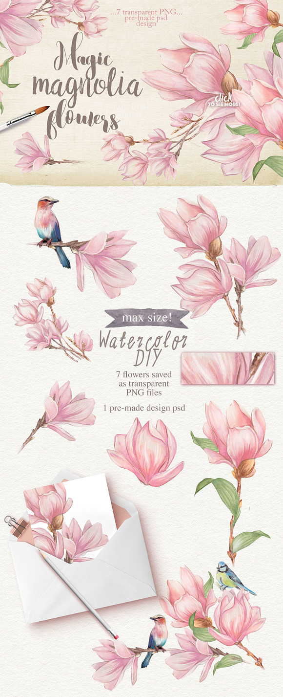 Magnolia flowers  in Illustrations - product preview 5