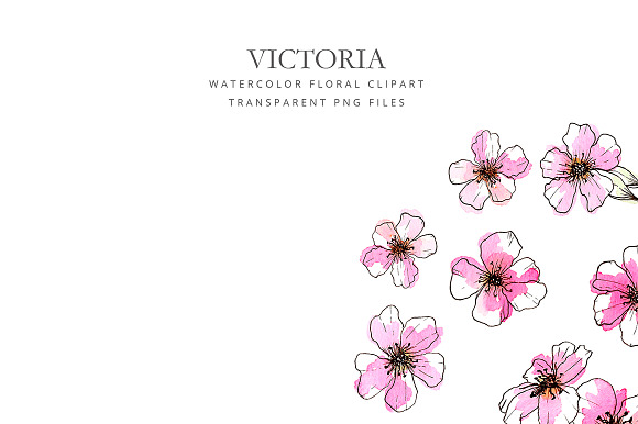 Watercolor pink flowers in Illustrations - product preview 1