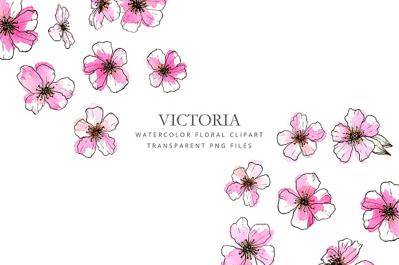 Watercolor pink flowers in Illustrations - product preview 4
