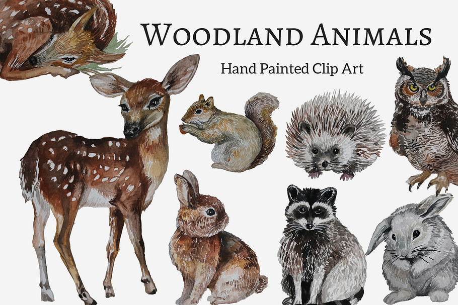 Woodland Animals Watercolor Clip Art