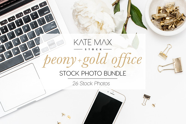 Peony + Gold Office Stock Bundle 