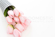 Styled Photo - Spring Pink Tulips