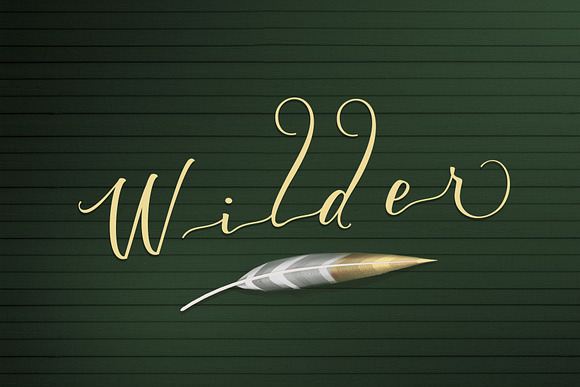 Wilder in Script Fonts - product preview 8