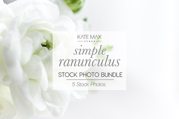 White Ranunculus Stock Photo Bundle