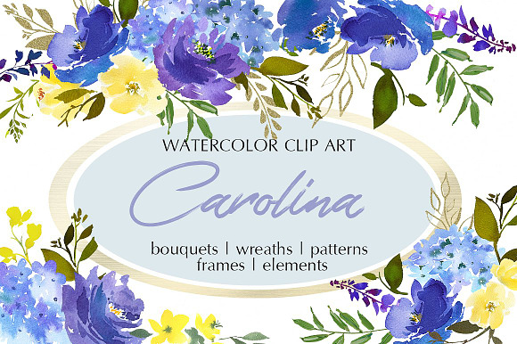 Watercolor Floral Bundle-95% off in Illustrations - product preview 15