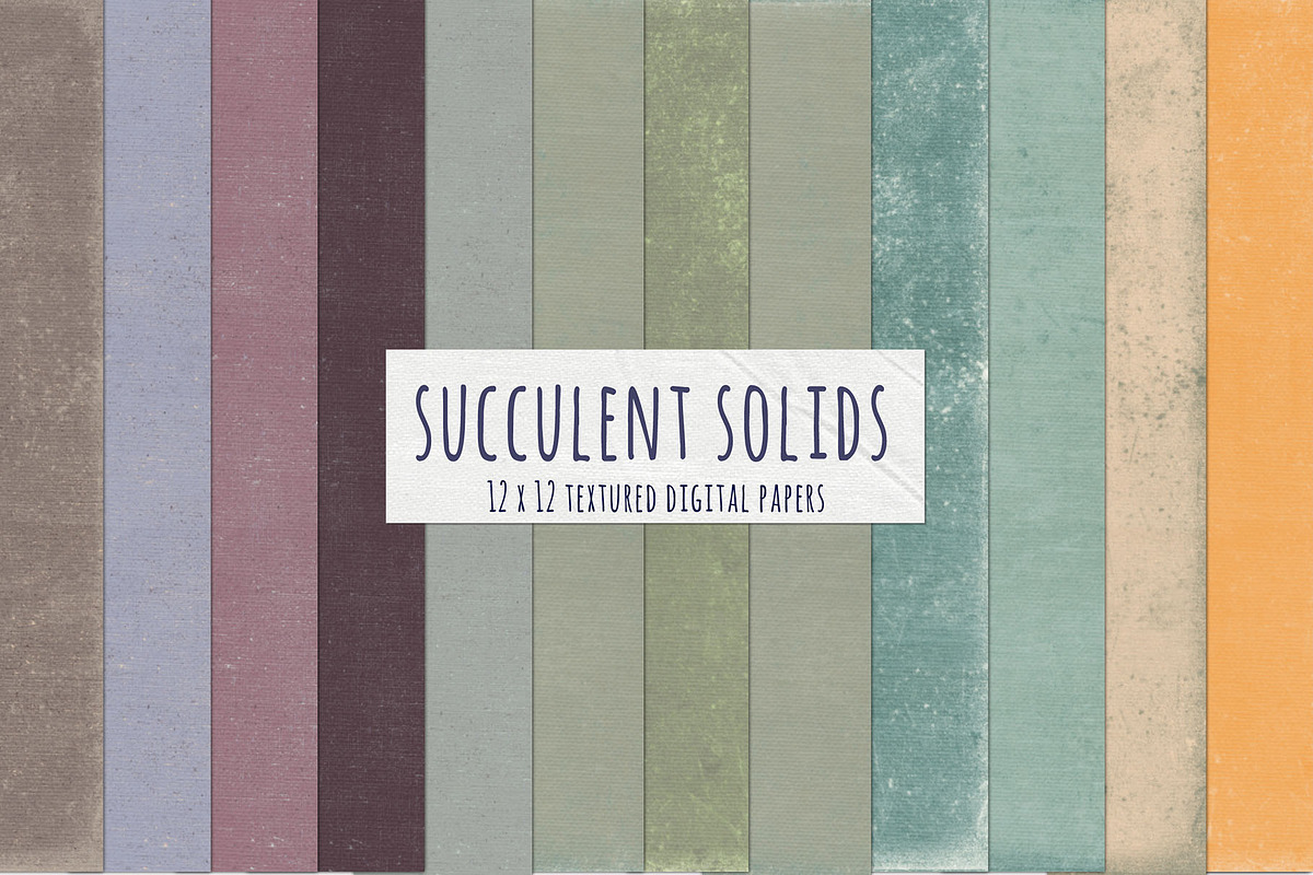 Succulent Solid Digital Backgrounds in Textures - product preview 8