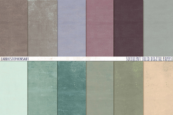 Succulent Solid Digital Backgrounds in Textures - product preview 1