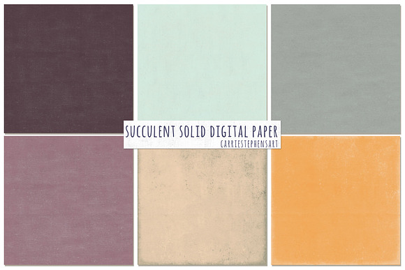 Succulent Solid Digital Backgrounds in Textures - product preview 2