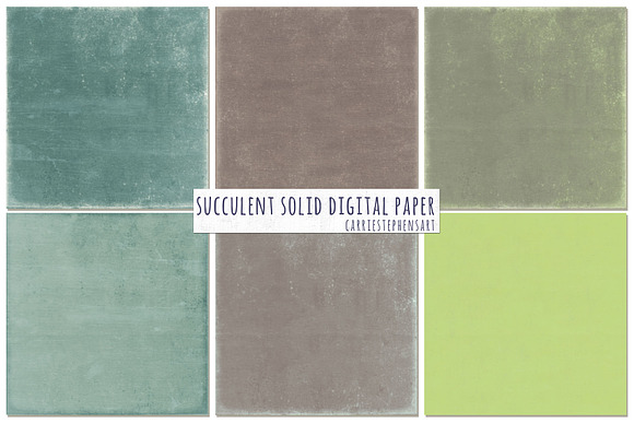Succulent Solid Digital Backgrounds in Textures - product preview 3