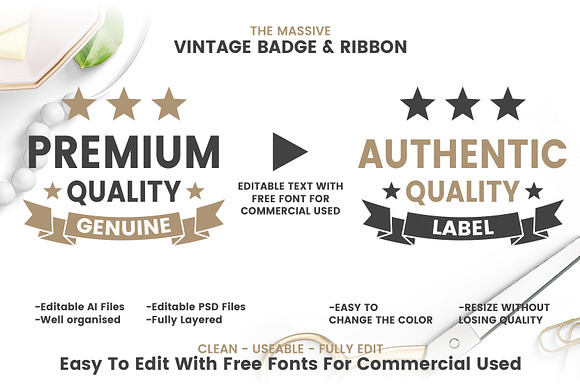 232 VINTAGE BADGE & RIBBON in Logo Templates - product preview 1