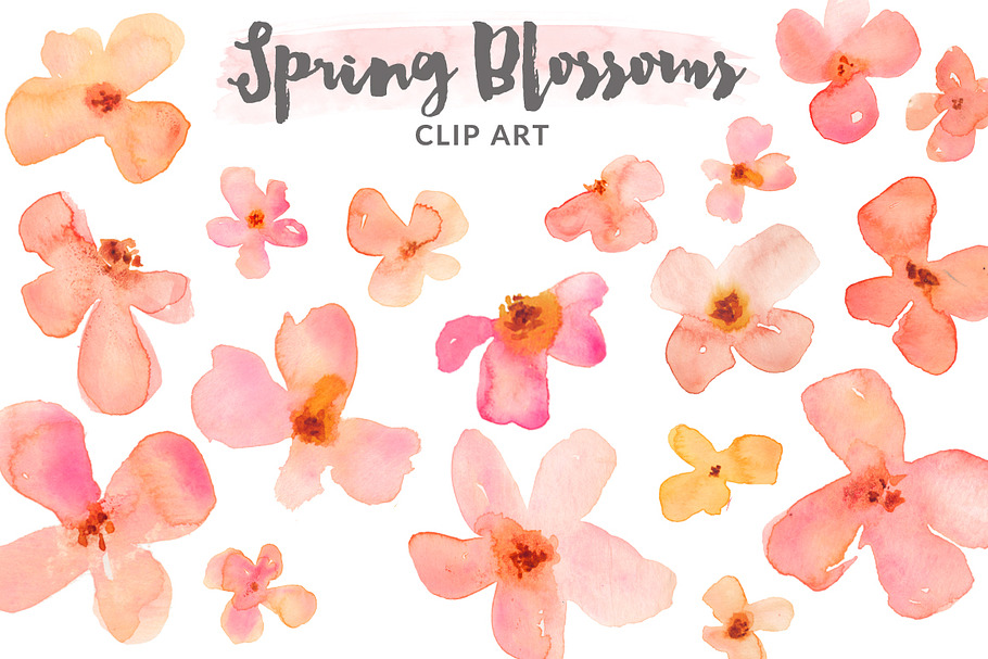 Watercolor Clipart - Spring Blossoms