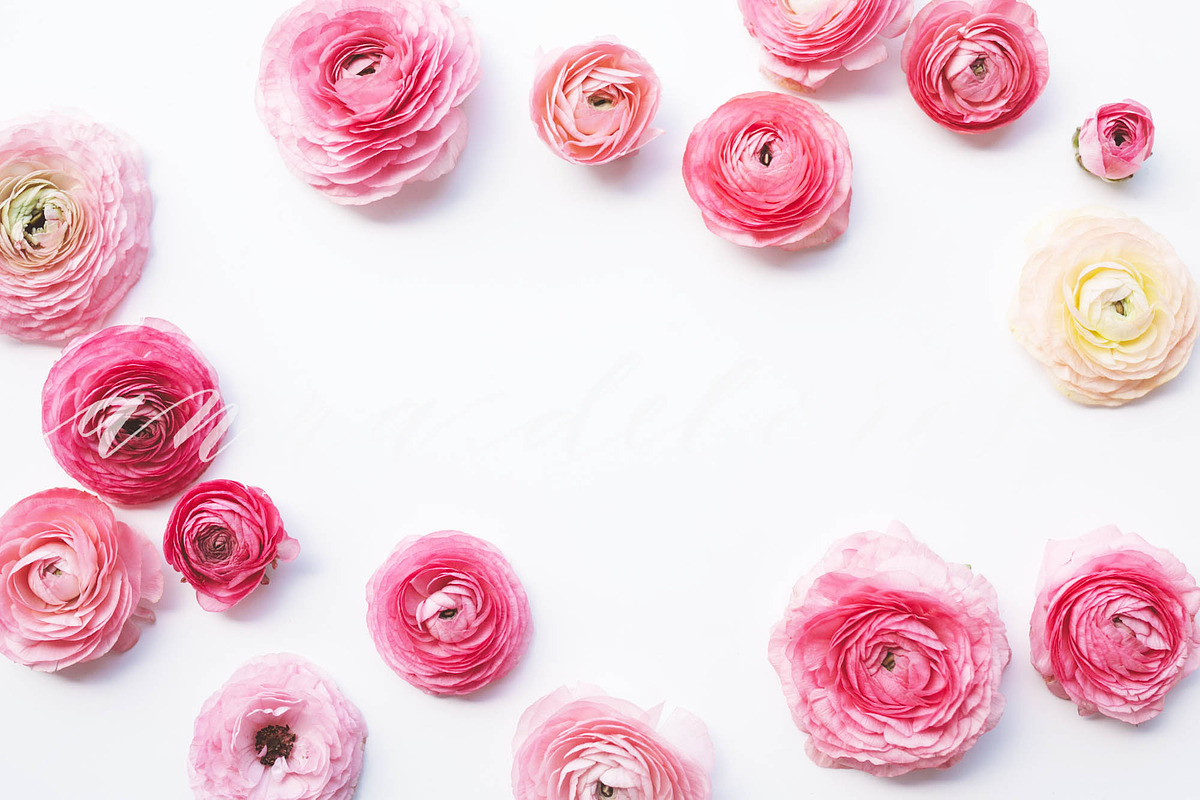 Styled Stock Photo, Pink Ranunculus in Product Mockups - product preview 8