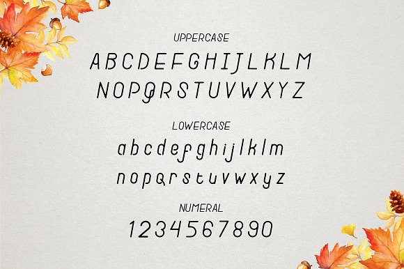 New Autumn  in Display Fonts - product preview 1