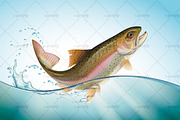 Jumping rainbow trout in water