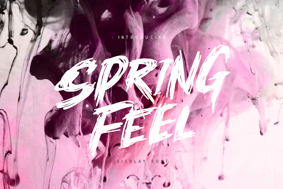Springfeel in Display Fonts - product preview 8