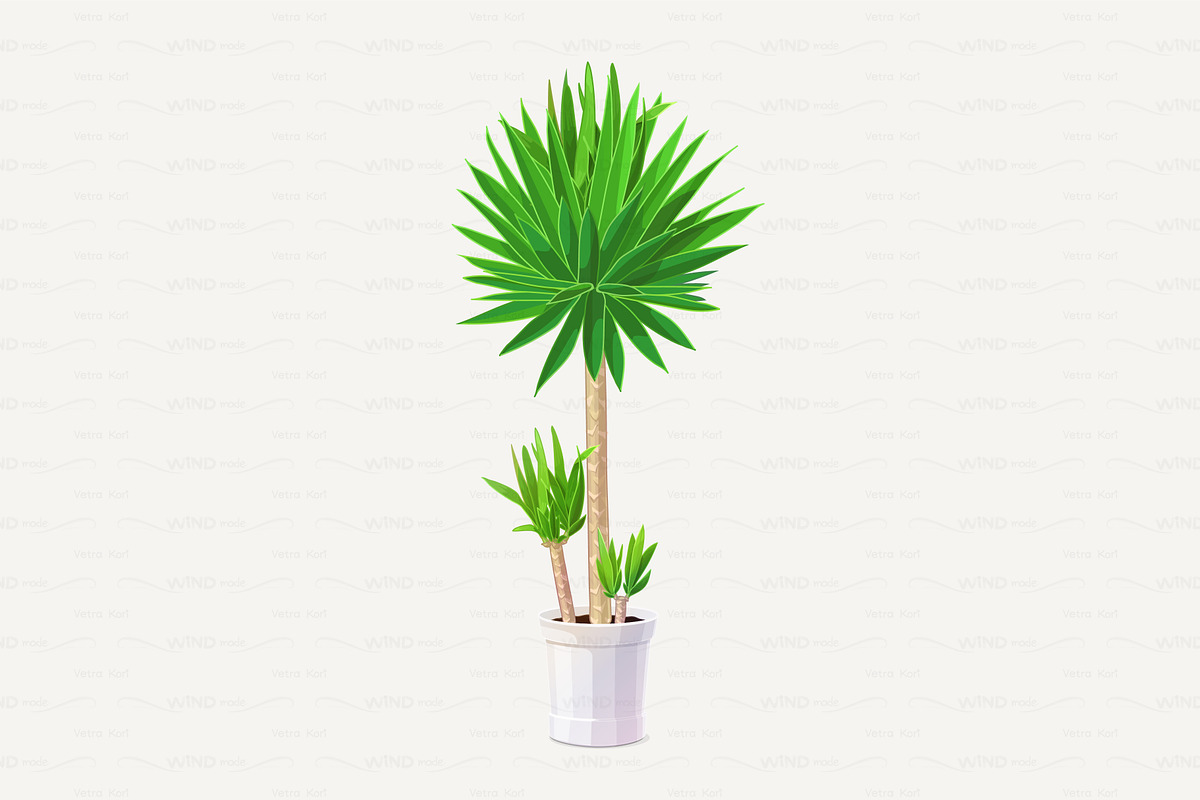 vector yucca tree in pot in Objects - product preview 8