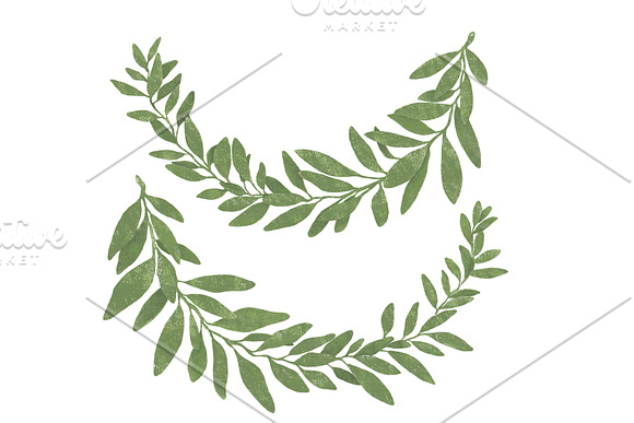 Hand drawn bay leaf wreath. in Illustrations - product preview 1