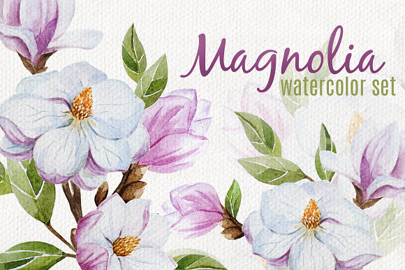 Magnolia set (watercolor, vector) in Patterns - product preview 4