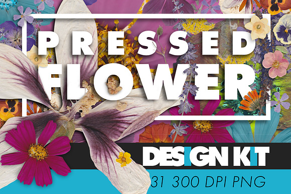 Pressed Flowers Floral Design Kit in Graphics - product preview 3
