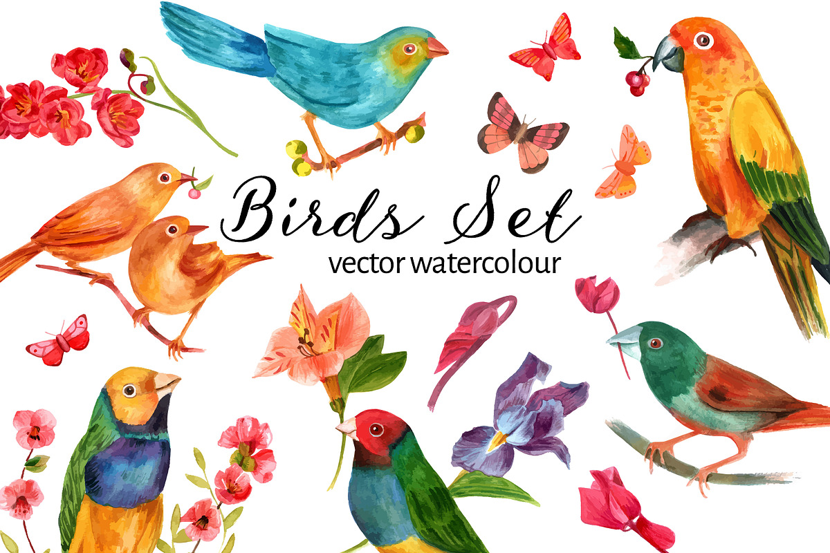 Vector Watercolour Birds Set in Illustrations - product preview 8