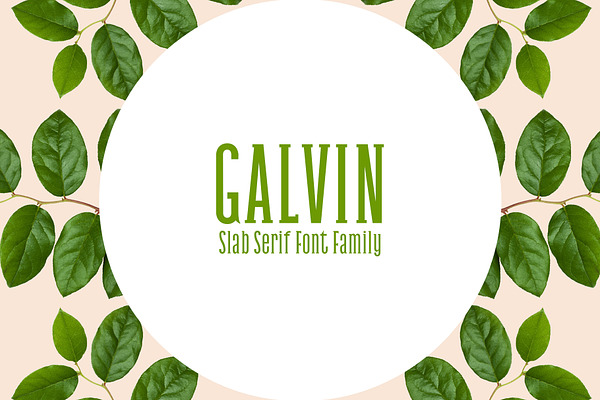Galvin Slab Serif Font Family Pack