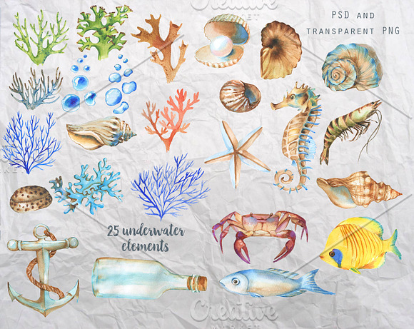 Underwater Collection in Illustrations - product preview 3