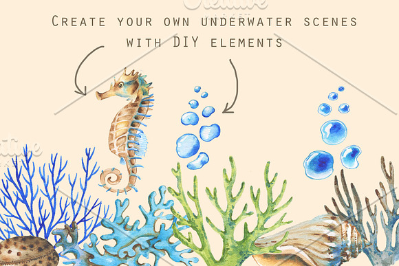 Underwater Collection in Illustrations - product preview 4