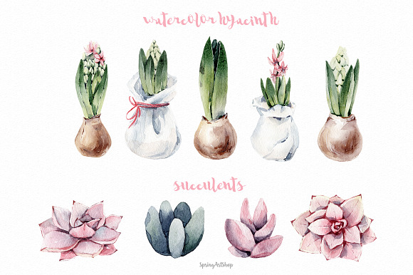 Spring watercolor giacint clipart in Illustrations - product preview 1