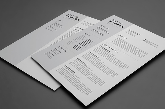 Resume/CV in Resume Templates - product preview 5