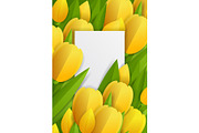 Floral background with tulips