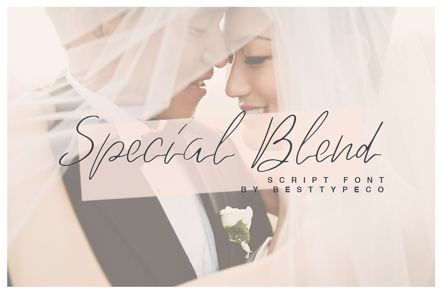 Special Blend in Script Fonts - product preview 8