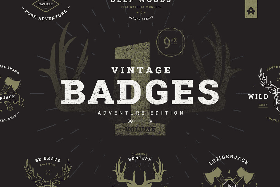 Vintage Badges vol 1 in Logo Templates - product preview 8