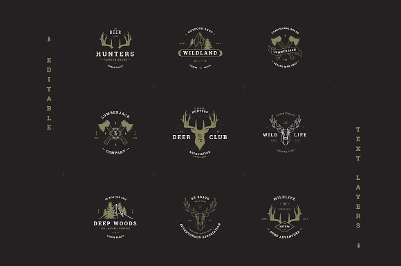 Vintage Badges vol 1 in Logo Templates - product preview 1