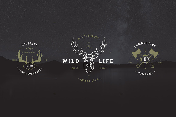 Vintage Badges vol 1 in Logo Templates - product preview 5
