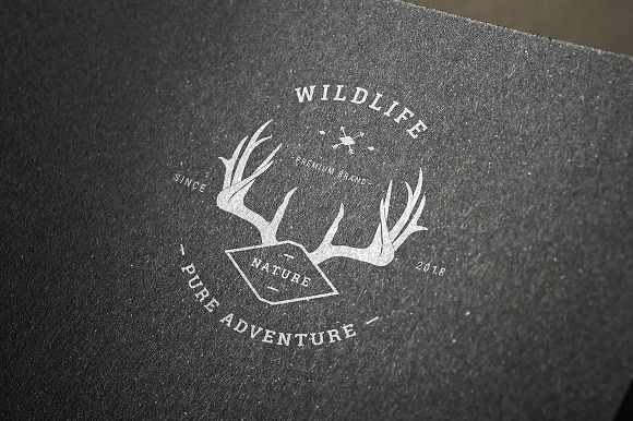 Vintage Badges vol 1 in Logo Templates - product preview 7