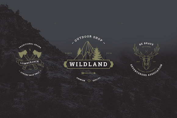 Vintage Badges vol 1 in Logo Templates - product preview 8