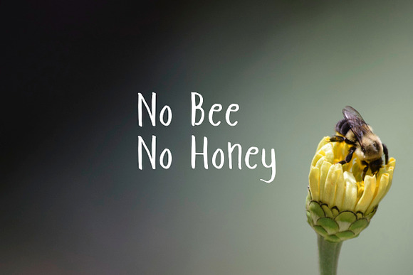 Luv Honey in Sans-Serif Fonts - product preview 2