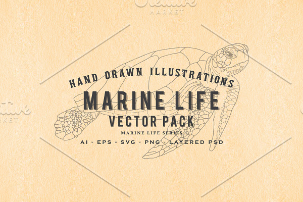 30 Hand Drawn Marine Life Vector Set