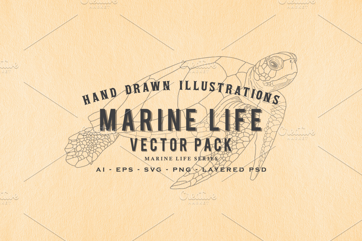 30 Hand Drawn Marine Life Vector Set in Illustrations - product preview 8