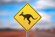 Kangaroo Road Sign