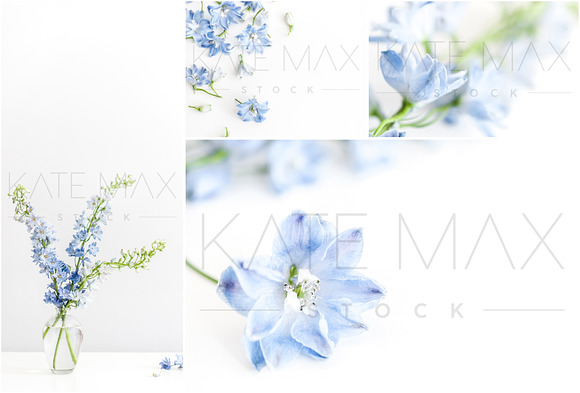 Blue Blossoms Stock Photo Bundle  in Product Mockups - product preview 1
