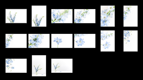 Blue Blossoms Stock Photo Bundle  in Product Mockups - product preview 2