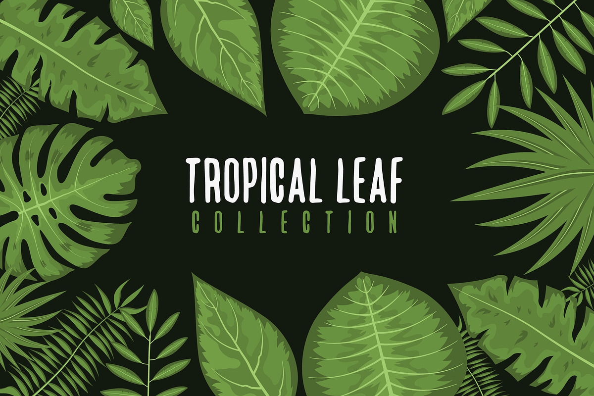 Tropical Leaf Collection in Objects - product preview 8